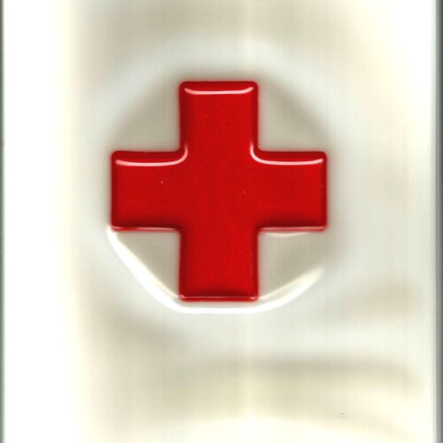 trevor brown 300部限定 サイン入り Medical Fun - メルカリ