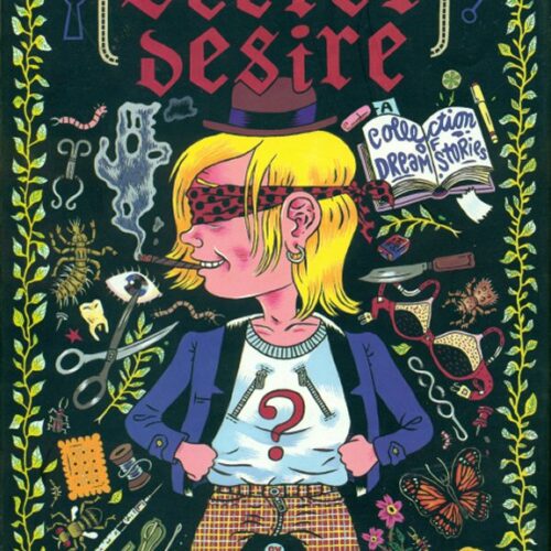 My Most Secret Desire HC Julie Doucet