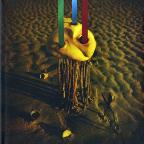 The Particle Tarot Minor Arcana HC Sealed Dave McKean