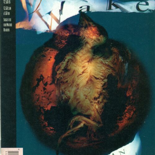 Sandman #71