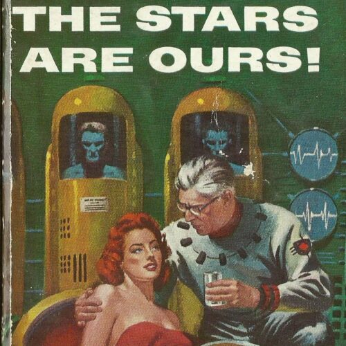 Ace D-121 The Stars Are Ours - Andre Norton