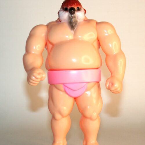 Kakeruri Flesh Color Sparrow Rikishi