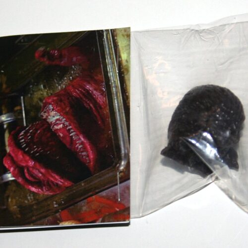 Last Zectron Deep Fried Critters