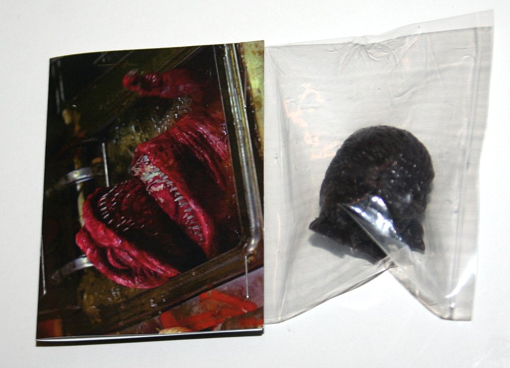 Last Zectron Deep Fried Critters