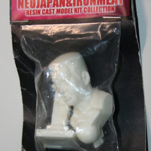 Restore NeoJapan Resin Cast Kit