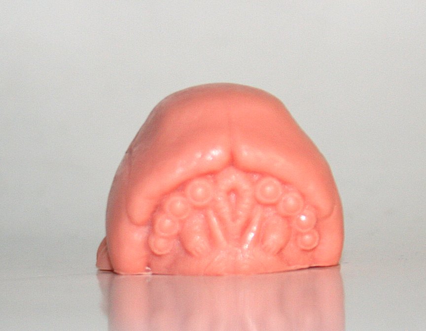 Last Zectron Resin Maba Fleshy Brain Bug - Loose