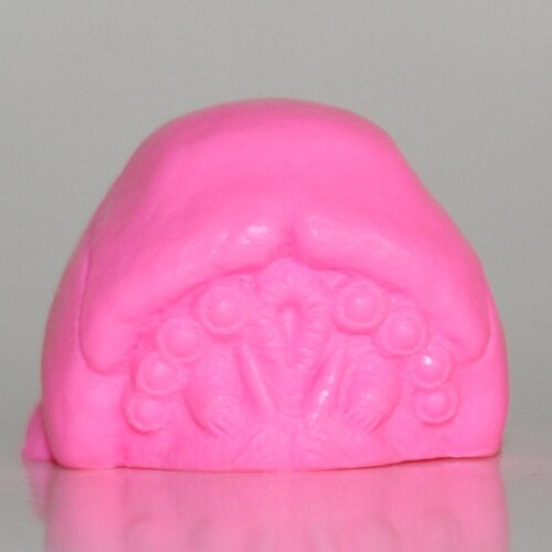 Last Zectron Resin Maba Pink Brain Bug - Loose