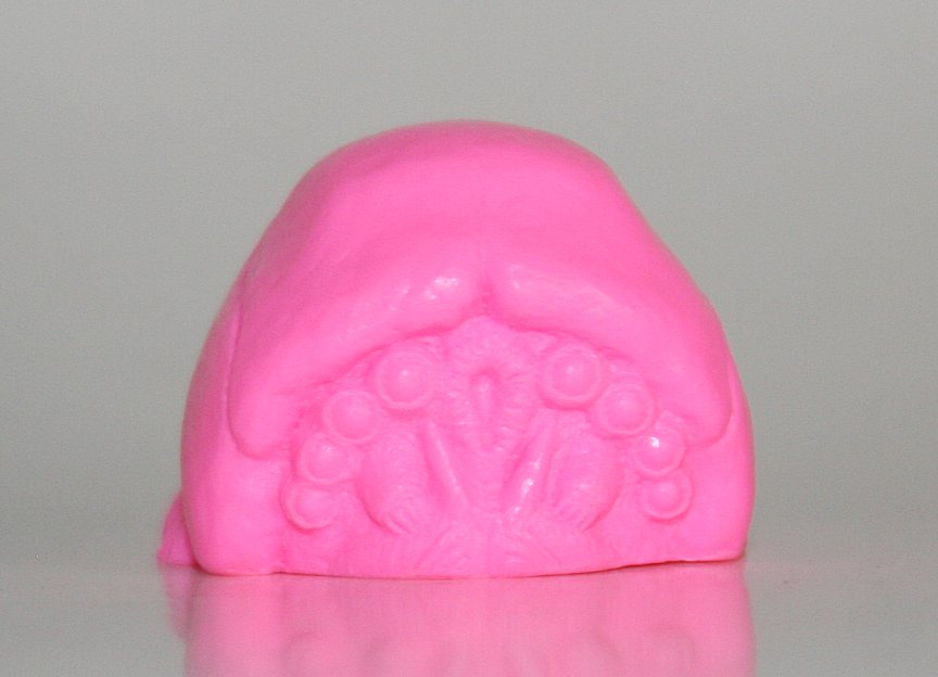 Last Zectron Resin Maba Pink Brain Bug - Loose