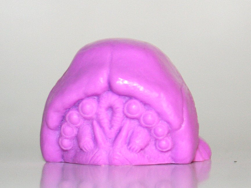 Last Zectron Resin Maba Purple Brain Bug - Loose