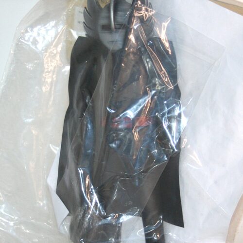 Rainbow Goranger Harigane Kamen aka Wire Mask
